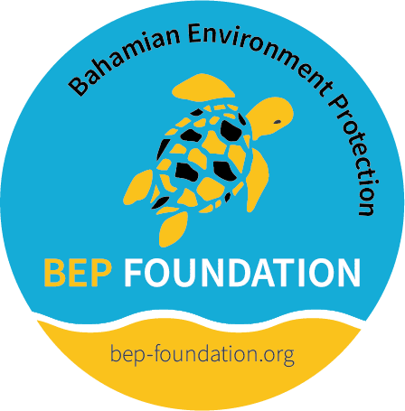 logo bep foundation